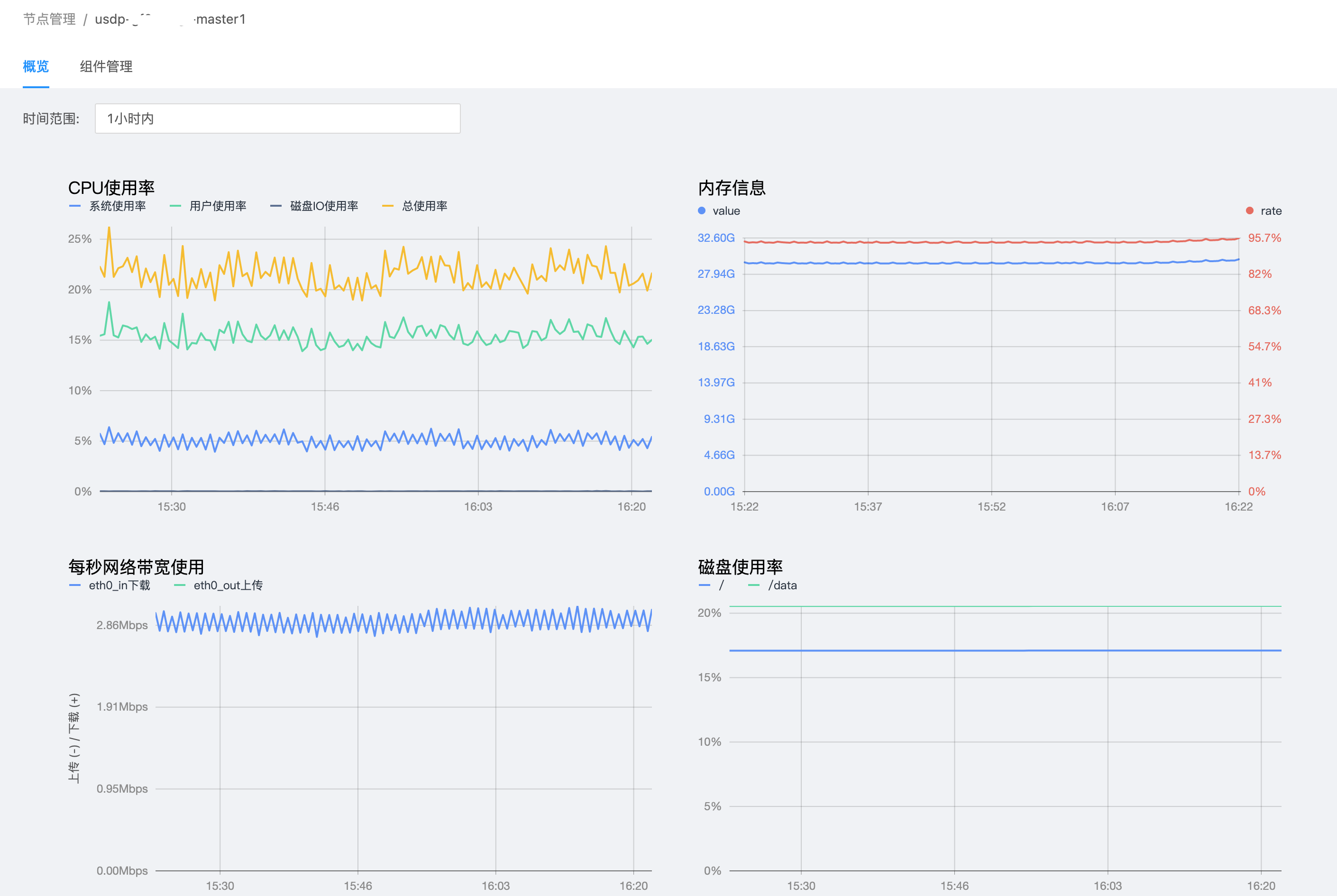 usdp_console_node_single_details