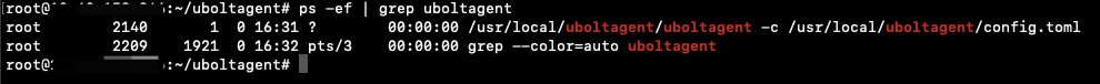 Linux-验证进程启动