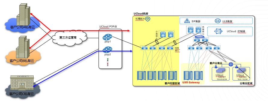 hybrid strain图片